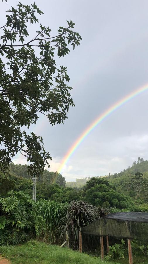 Pousada Pedra Da Mata Chales Na Montanha Munhoz Esterno foto