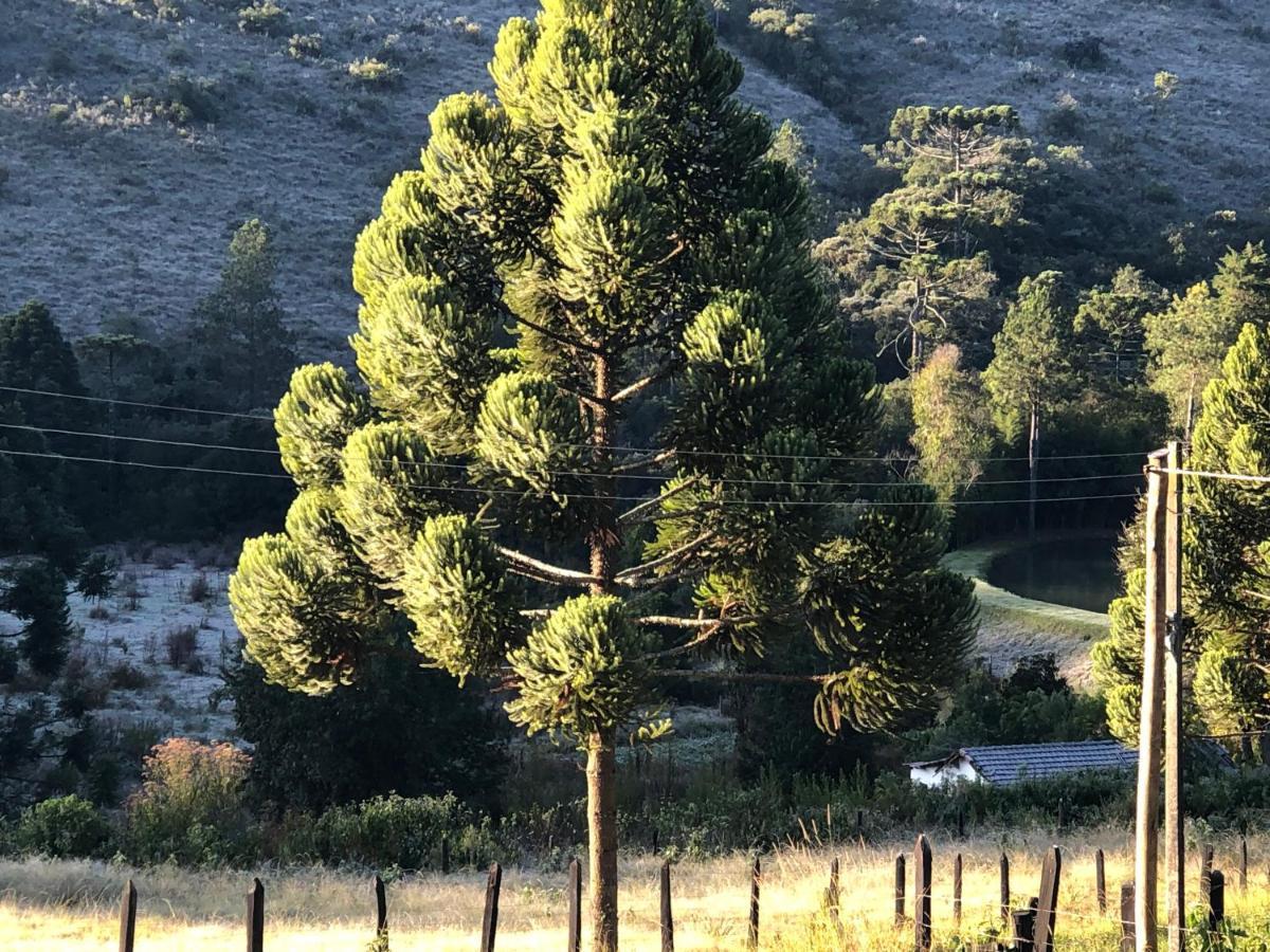 Pousada Pedra Da Mata Chales Na Montanha Munhoz Esterno foto
