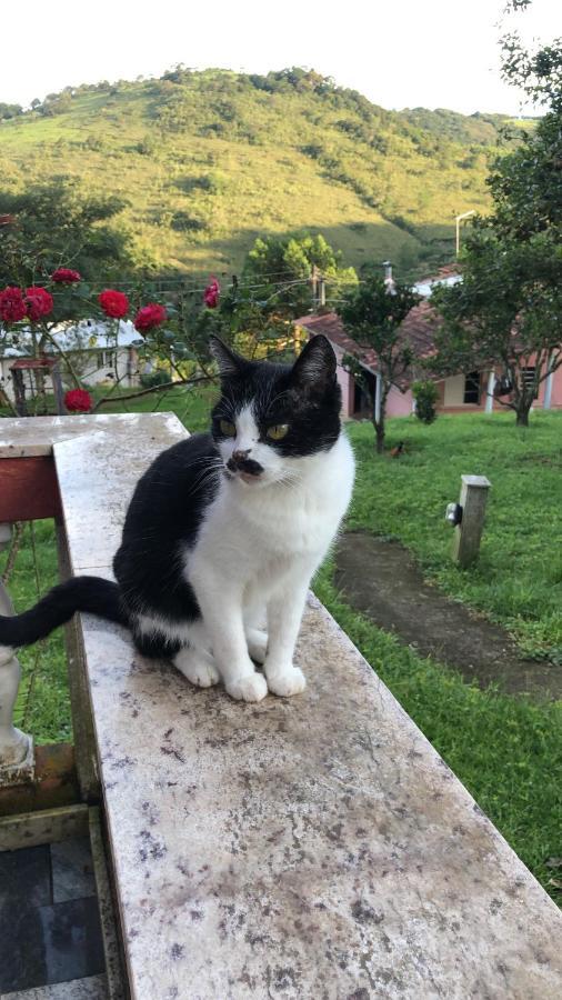 Pousada Pedra Da Mata Chales Na Montanha Munhoz Esterno foto