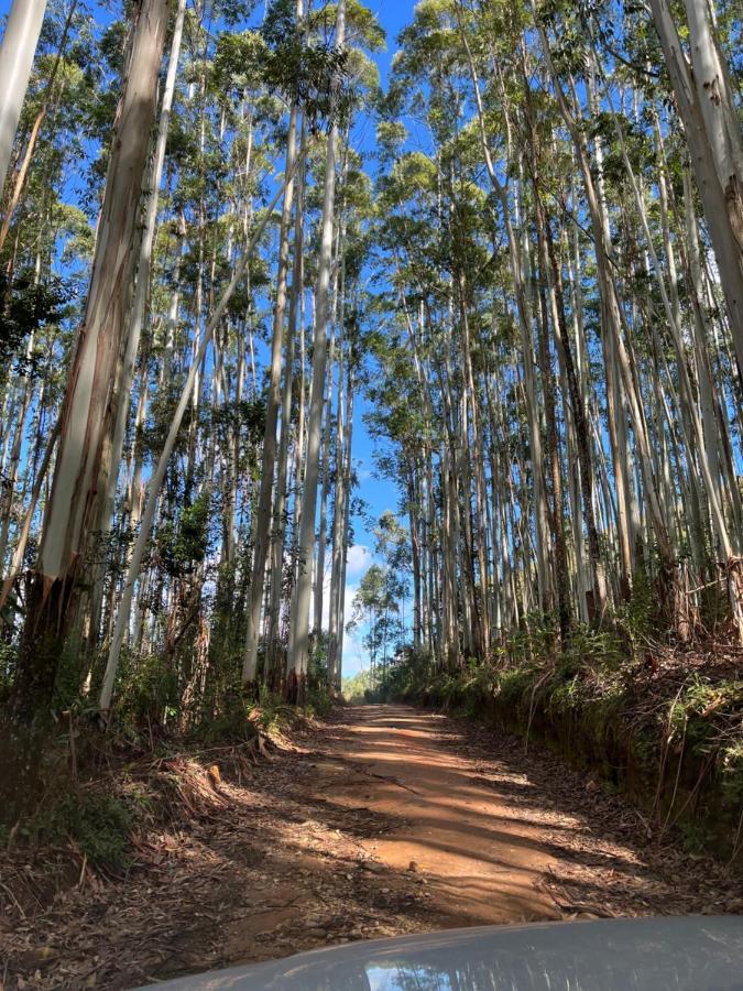 Pousada Pedra Da Mata Chales Na Montanha Munhoz Esterno foto