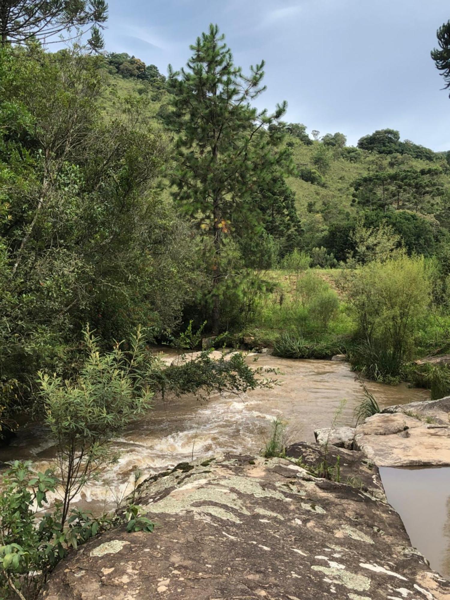 Pousada Pedra Da Mata Chales Na Montanha Munhoz Esterno foto